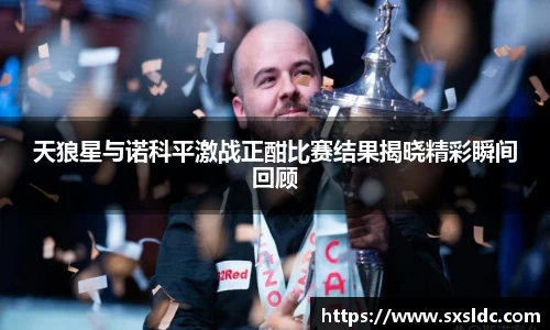 天狼星与诺科平激战正酣比赛结果揭晓精彩瞬间回顾