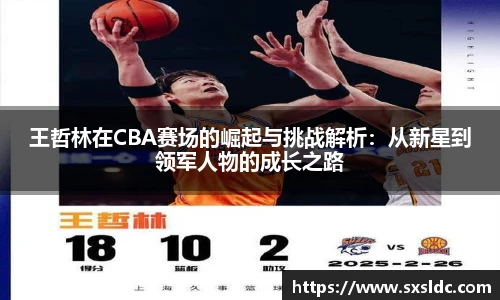 王哲林在CBA赛场的崛起与挑战解析：从新星到领军人物的成长之路